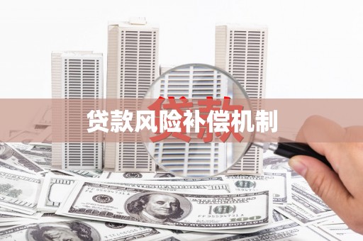 托克托贷款风险补偿机制