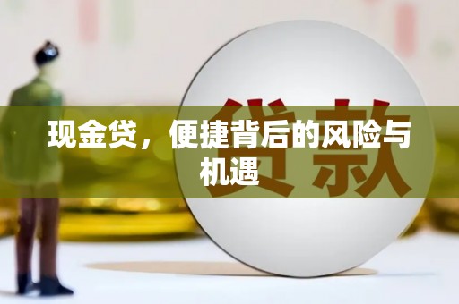 托克托现金贷，便捷背后的风险与机遇