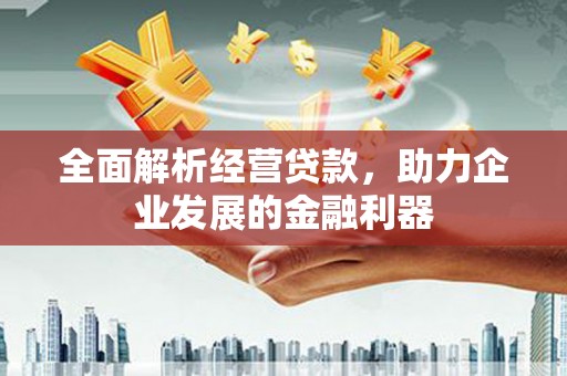 托克托全面解析经营贷款，助力企业发展的金融利器
