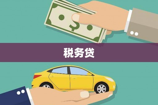 托克托税务贷