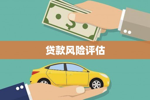托克托贷款风险评估