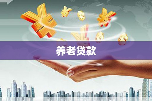 托克托养老贷款