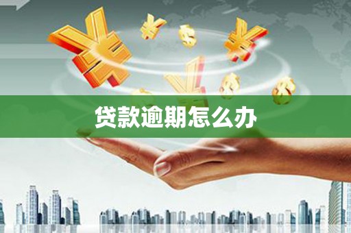 托克托贷款逾期怎么办