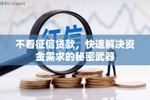 托克托不看征信贷款，快速解决资金需求的秘密武器