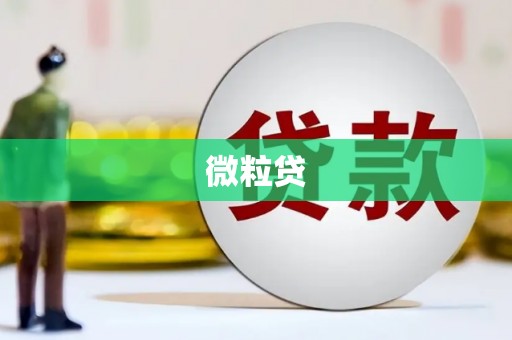 托克托微粒贷