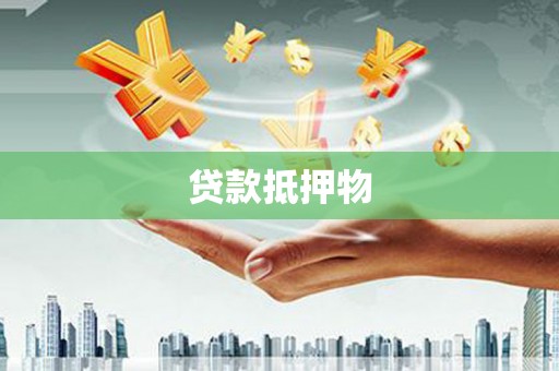 托克托贷款抵押物
