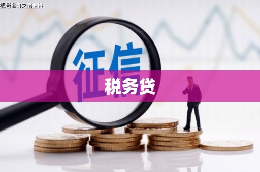 托克托税务贷