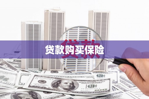 托克托贷款购买保险