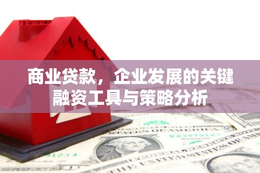 托克托商业贷款，企业发展的关键融资工具与策略分析