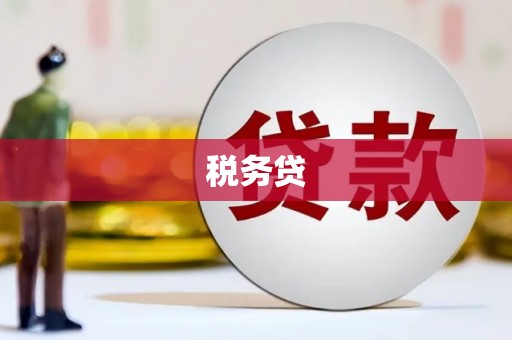 托克托税务贷
