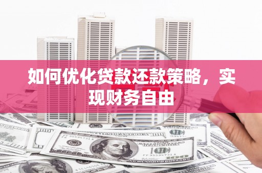 托克托如何优化贷款还款策略，实现财务自由