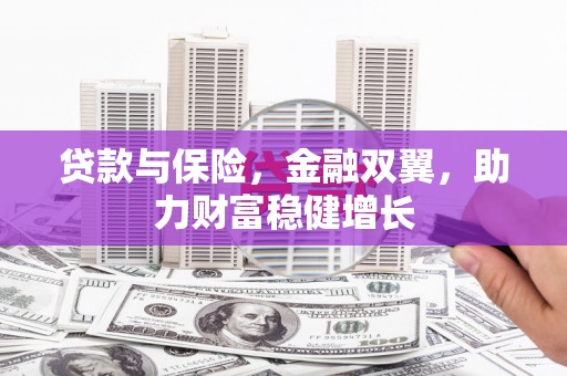 托克托贷款与保险，金融双翼，助力财富稳健增长