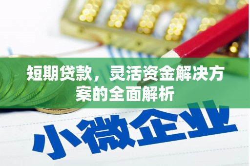 托克托短期贷款，灵活资金解决方案的全面解析