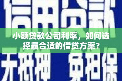 托克托小额贷款公司利率，如何选择最合适的借贷方案？