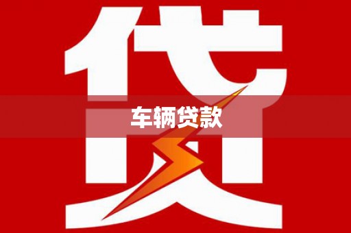 托克托车辆贷款