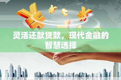 托克托灵活还款贷款，现代金融的智慧选择