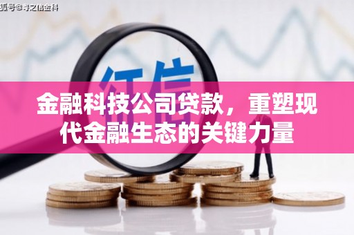 托克托金融科技公司贷款，重塑现代金融生态的关键力量