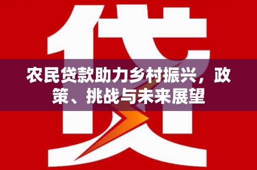 托克托农民贷款助力乡村振兴，政策、挑战与未来展望