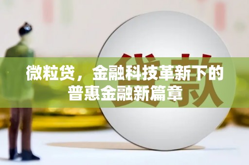 托克托微粒贷，金融科技革新下的普惠金融新篇章