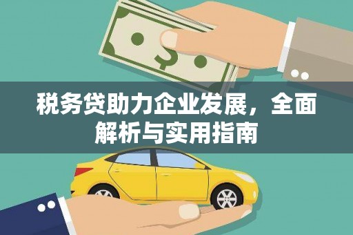托克托税务贷助力企业发展，全面解析与实用指南
