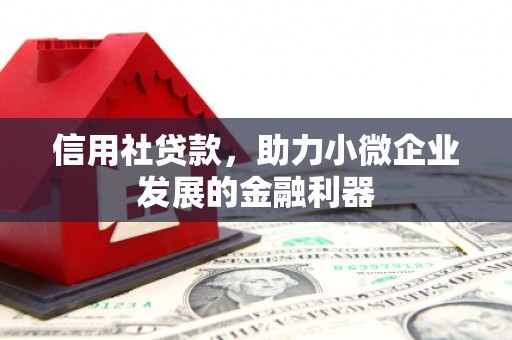 托克托信用社贷款，助力小微企业发展的金融利器