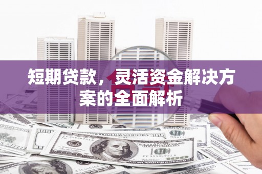 托克托短期贷款，灵活资金解决方案的全面解析