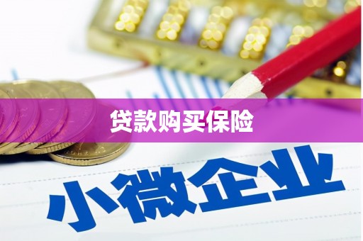 托克托贷款购买保险