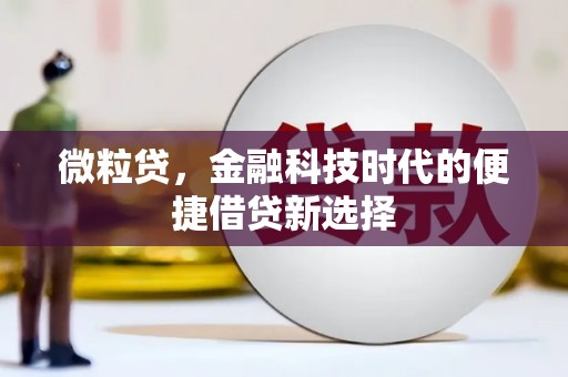托克托微粒贷，金融科技时代的便捷借贷新选择
