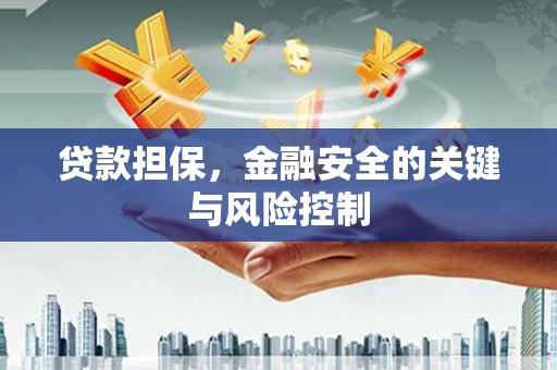 托克托贷款担保，金融安全的关键与风险控制