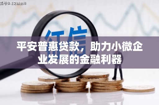 托克托平安普惠贷款，助力小微企业发展的金融利器