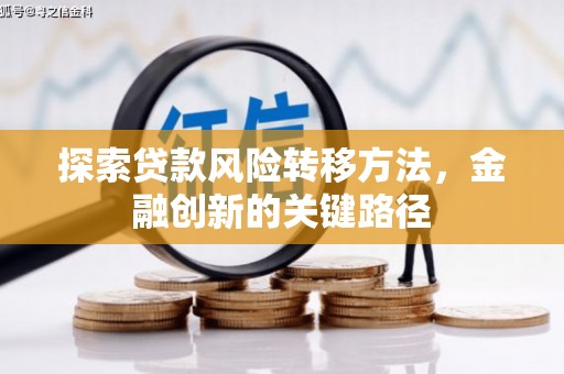 托克托探索贷款风险转移方法，金融创新的关键路径