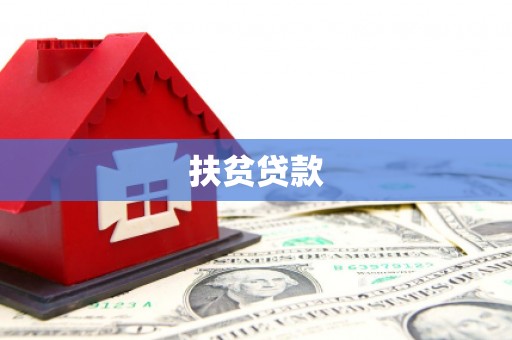 托克托扶贫贷款