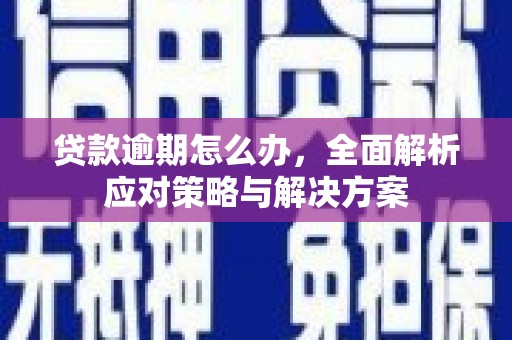 托克托贷款逾期怎么办，全面解析应对策略与解决方案