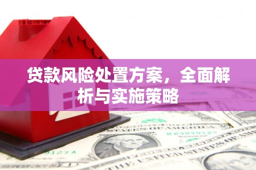 托克托贷款风险处置方案，全面解析与实施策略